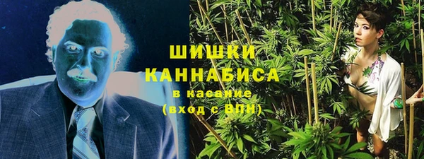 дурь Краснослободск