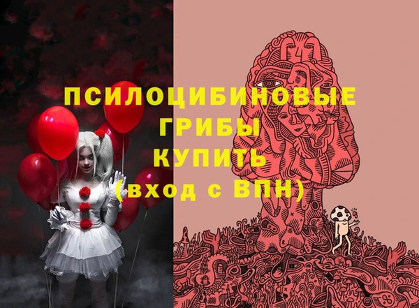 дурь Краснослободск