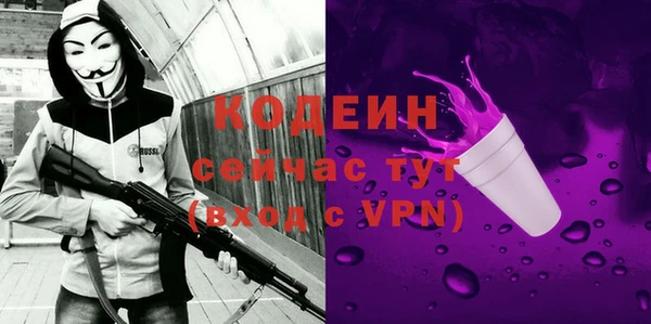 дурь Краснослободск