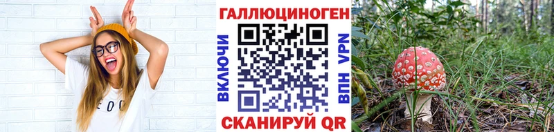 Купить где  Инза  Псилоцибиновые грибы Cubensis 